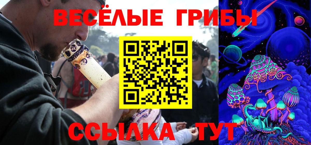 Псилоцибиновые грибы ЛСД Новокубанск